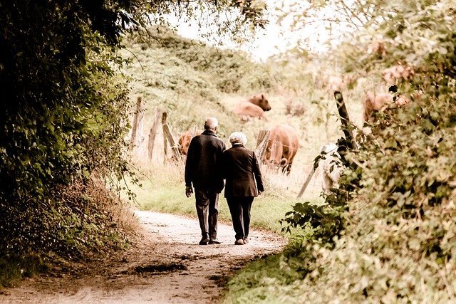 Por qué Tauro puede ser una pareja ideal para Piscis
